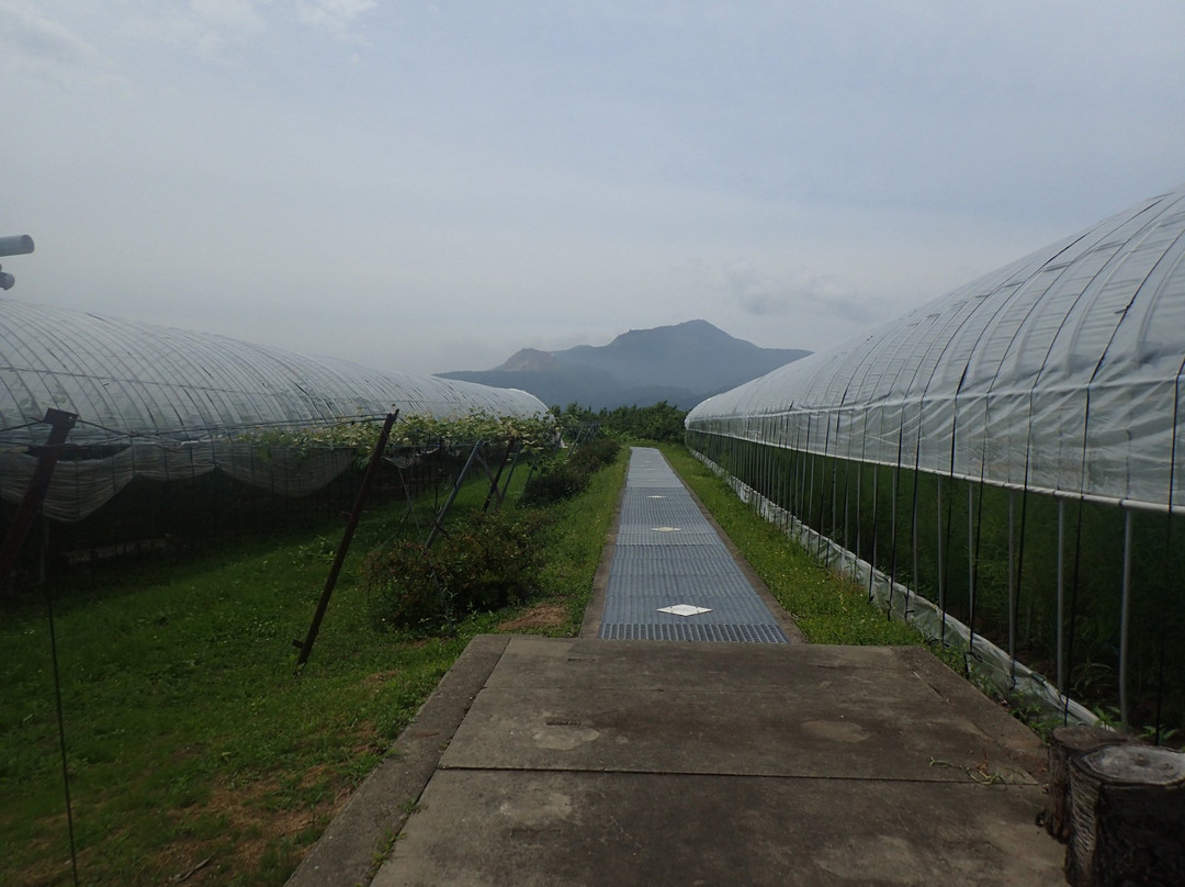 Hamada Marutome Fruits Gaden-壮瞥町必去景点