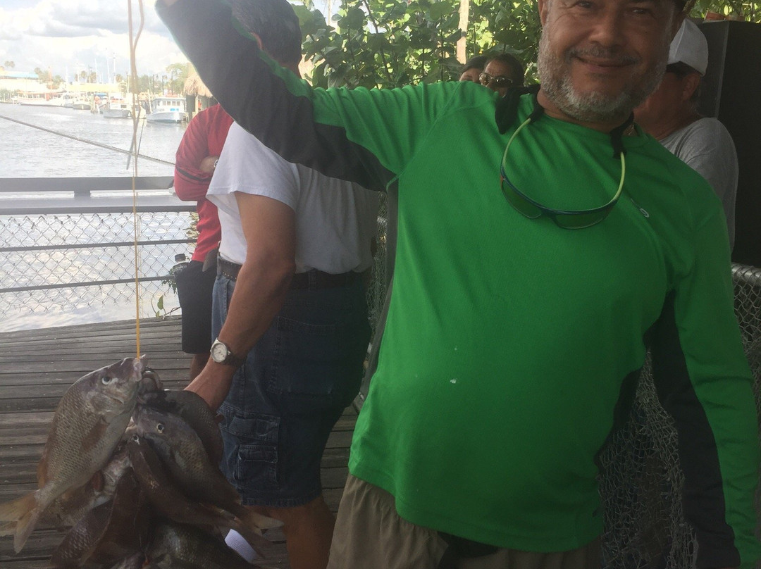 Dolphin Deep Sea Fishing-塔彭斯普林斯必去景点