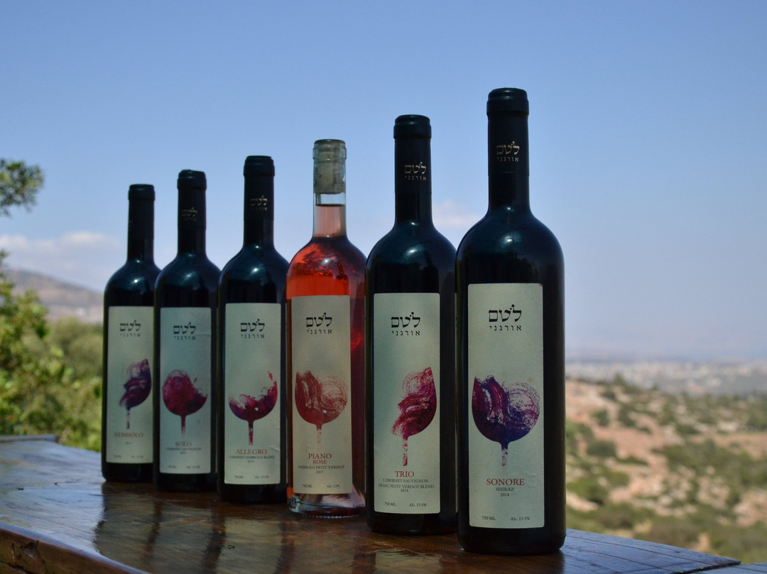 Lotem Winery-Karmiel必去景点