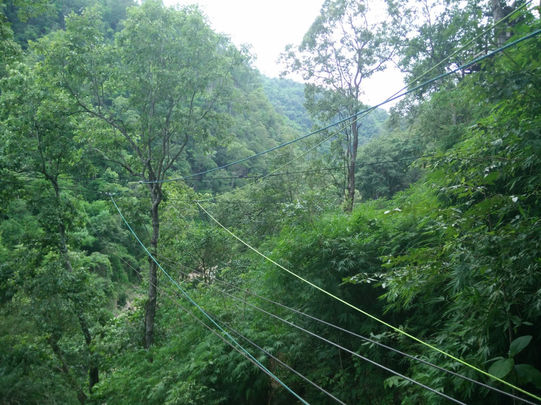 丛林滑翔-夜登必去景点