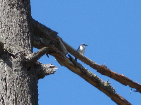 Tualatin River National Wildlife Refuge-Sherwood必去景点