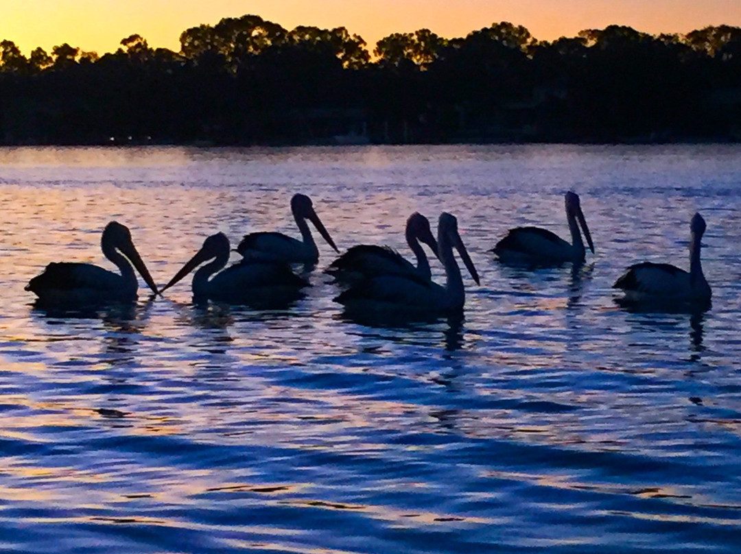 Essential Bodywork-努萨维尔必去景点