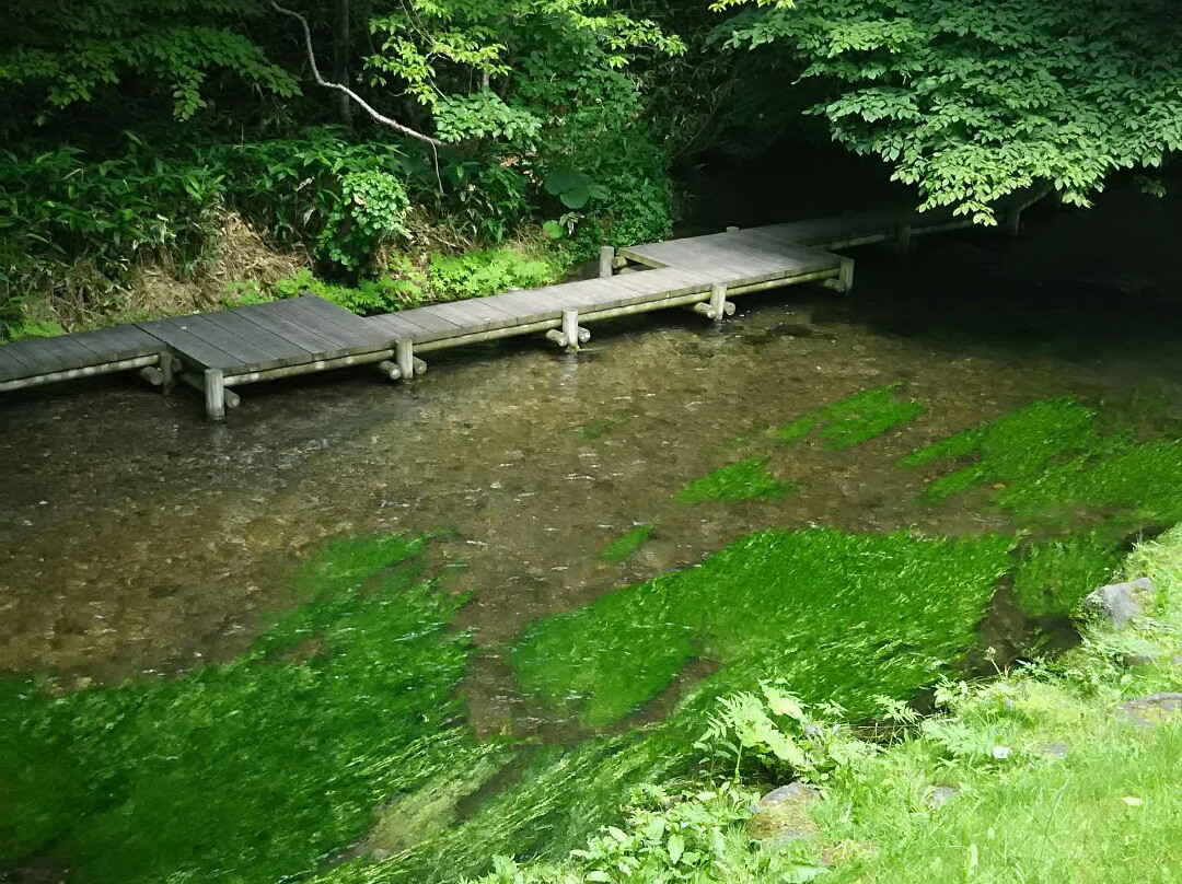 Meisui Fureai Park-千岁市必去景点