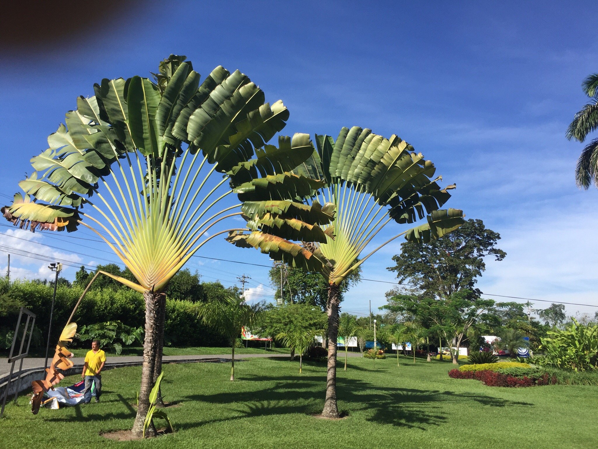Club Campestre de Armenia-官方