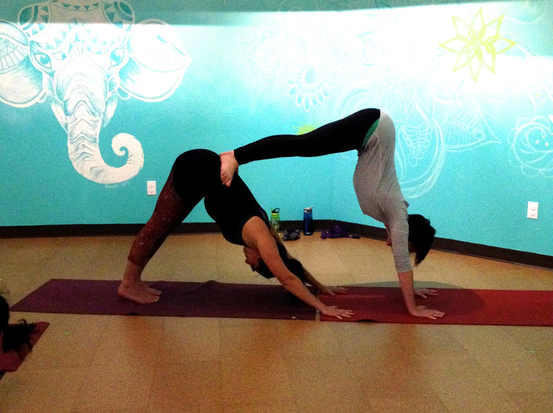 The Yogashala-Waterdown必去景点