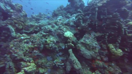 Third Encounter-萨巴岛必去景点