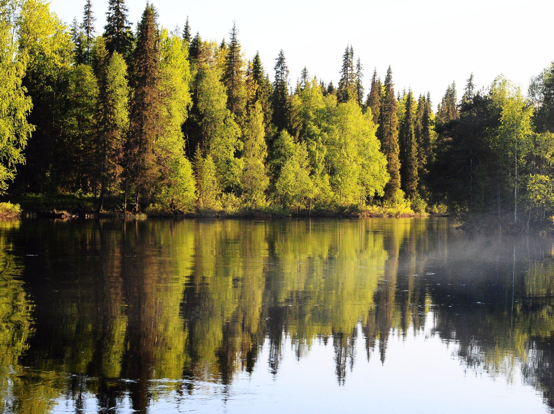Paanajarvi National Park景点图片