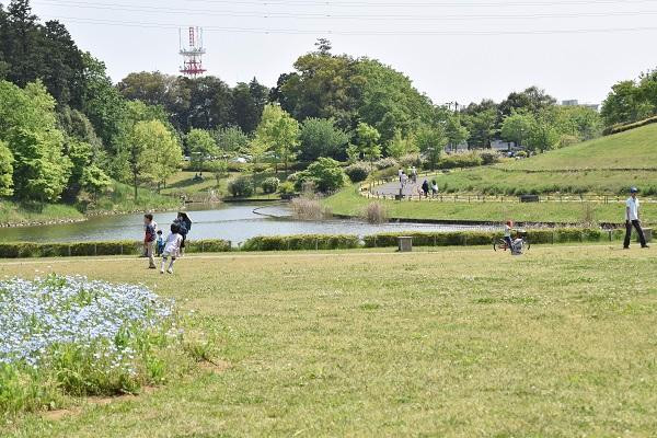 Hokusouhananooka Park-印西市必去景点