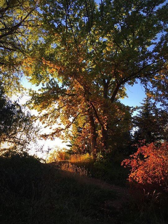 Beus Pond Park景点图片