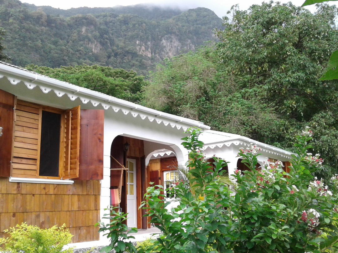 Rodney's Wellness Retreat Inc