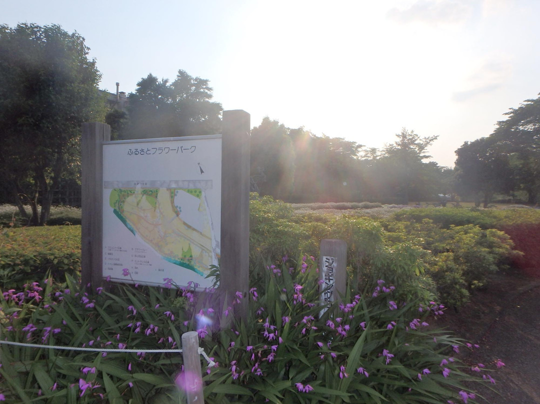 Honjo Furusato Flower Park