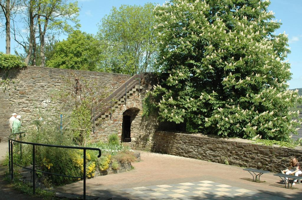 Siegerlandmuseum景点图片