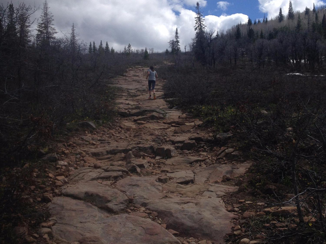 Emerald Mountain-斯廷博特斯普林斯必去景点