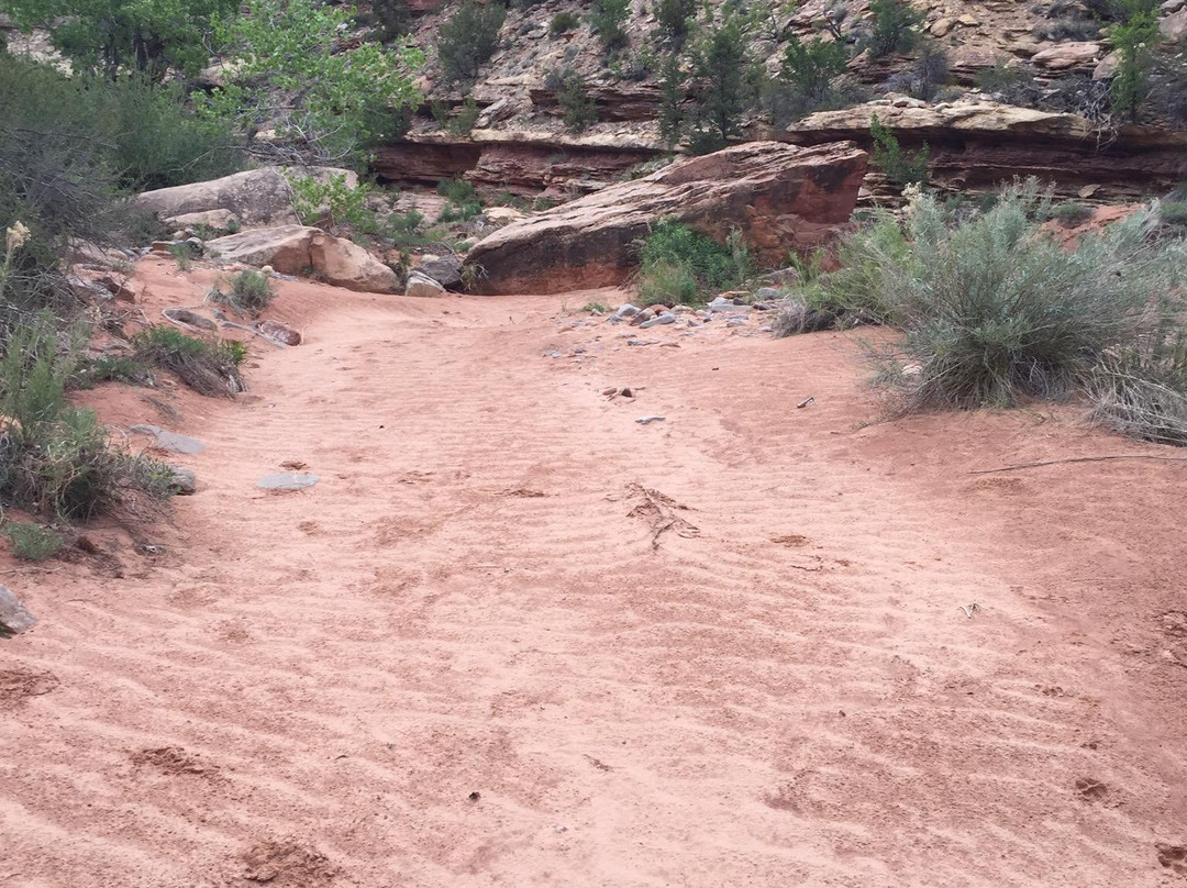 Arch Canyon-布兰丁必去景点