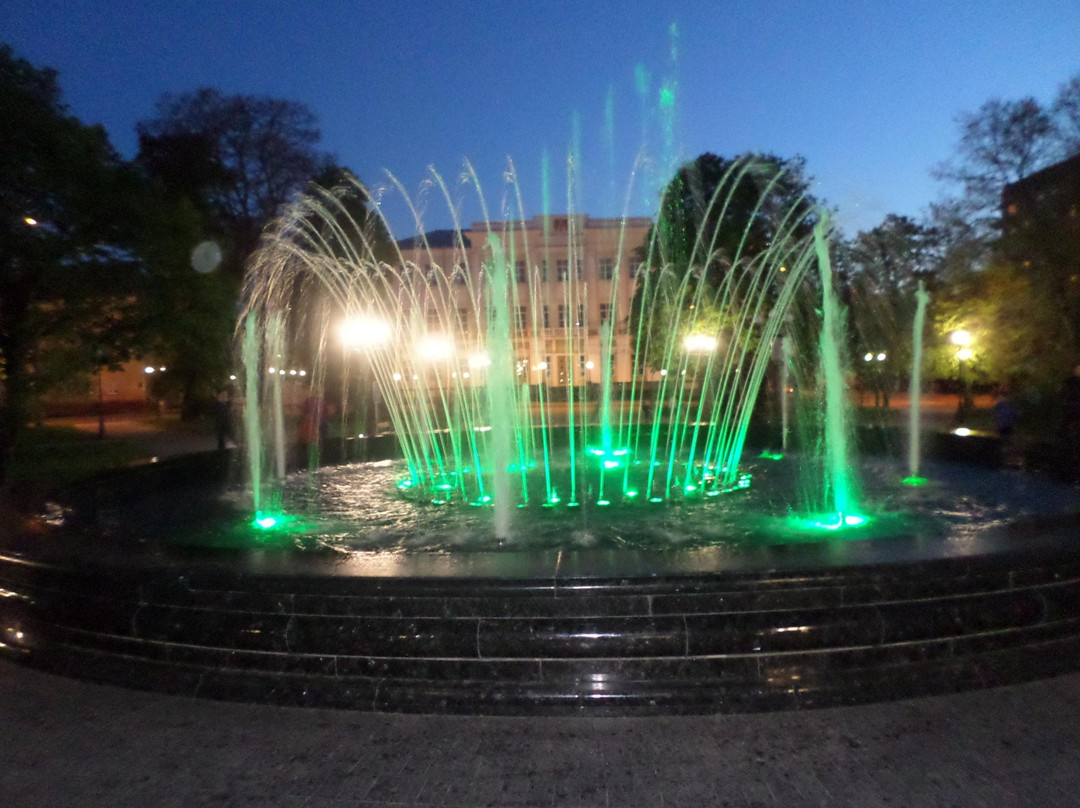 Fountain with Lights and Music景点图片