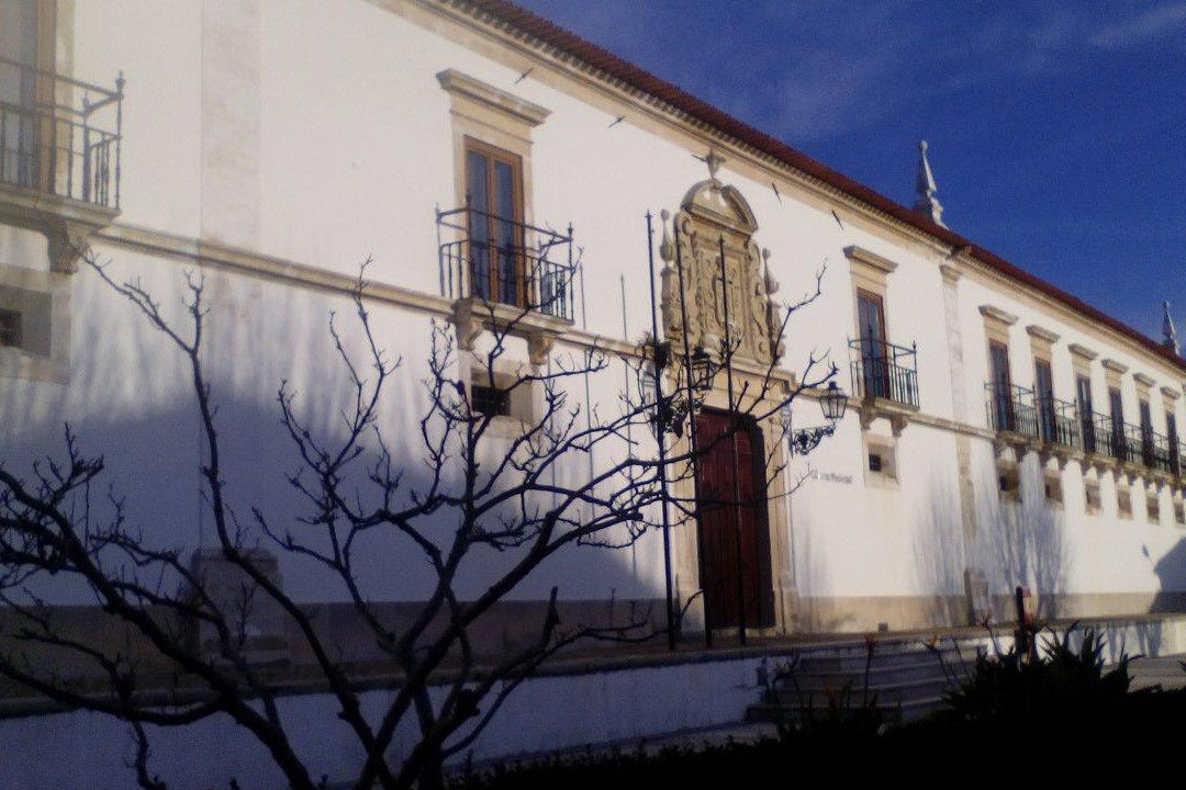 Palacio dos Figueiredos景点图片