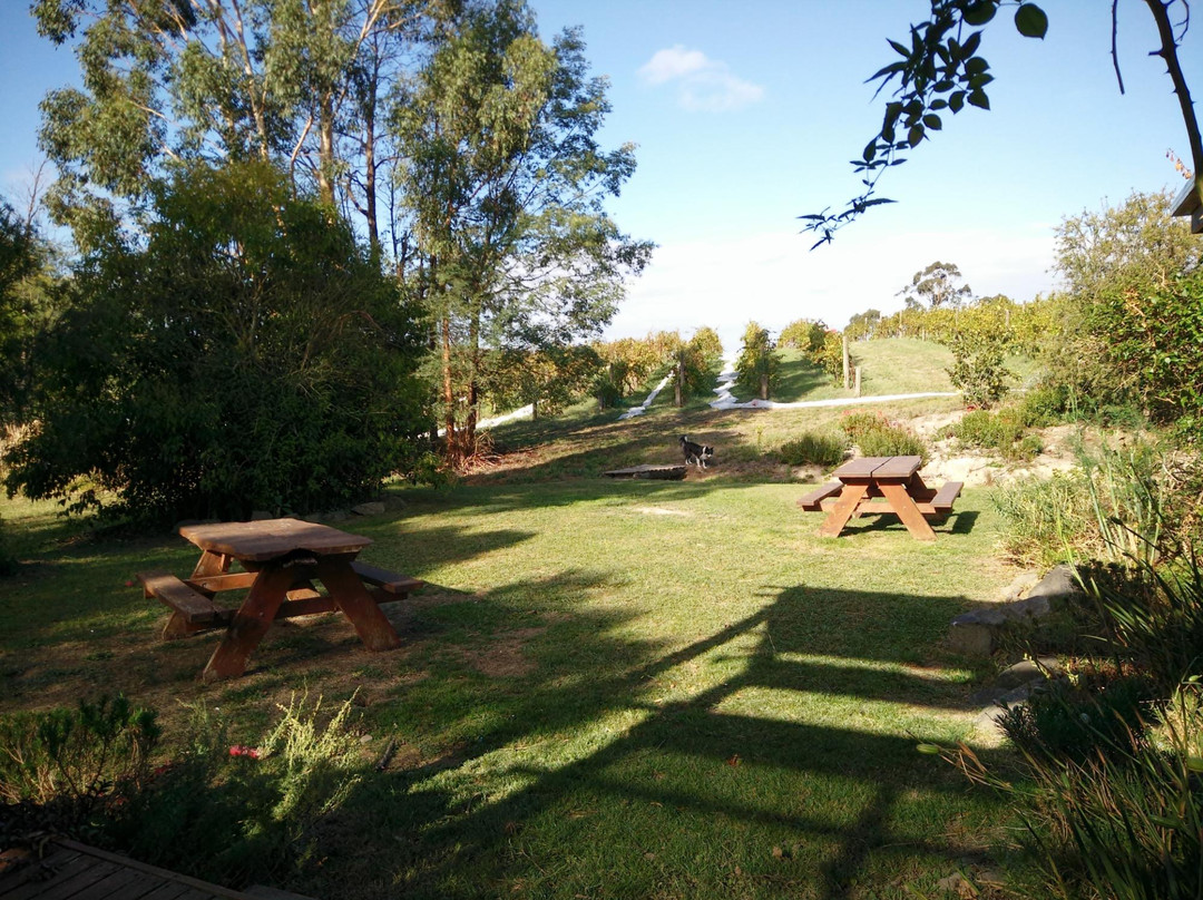 Clair de Lune Winery-Kardella South必去景点