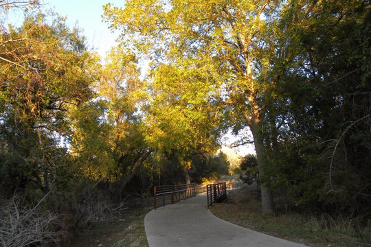 Brushy Creek Lake Park-斯德伯克必去景点
