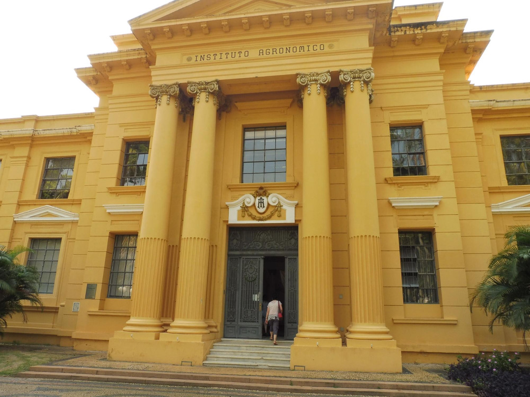 Botanical Garden of the Agronomic Institute-坎皮纳斯必去景点