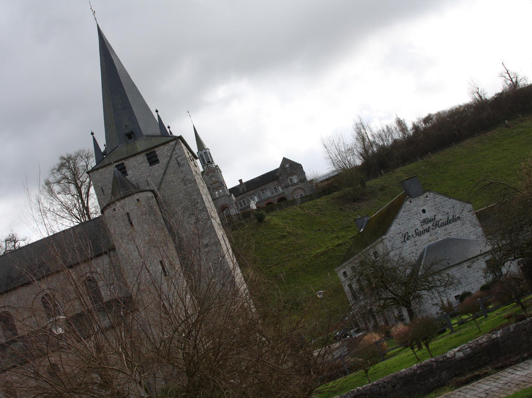 Collégiale Saint-Hadelin de Celles景点图片