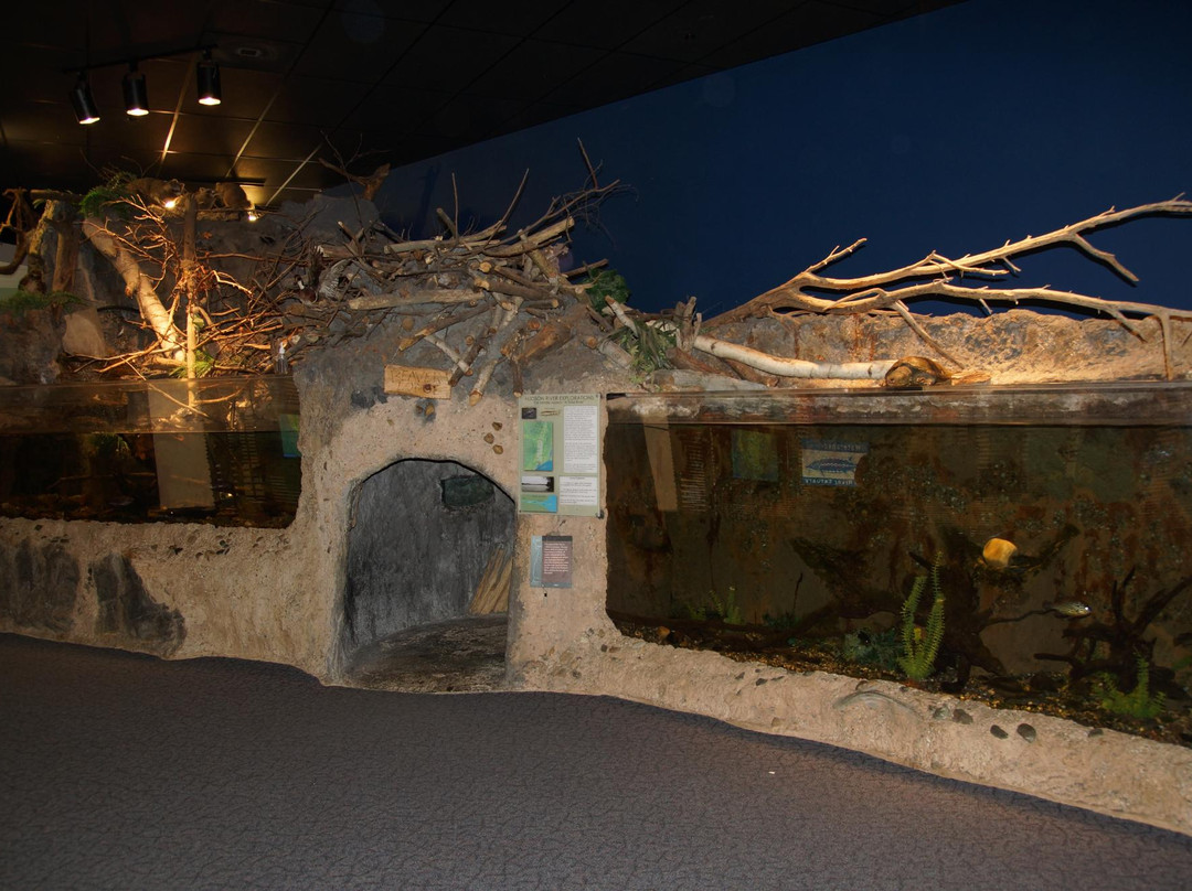The Children's Museum of Science and Technology景点图片