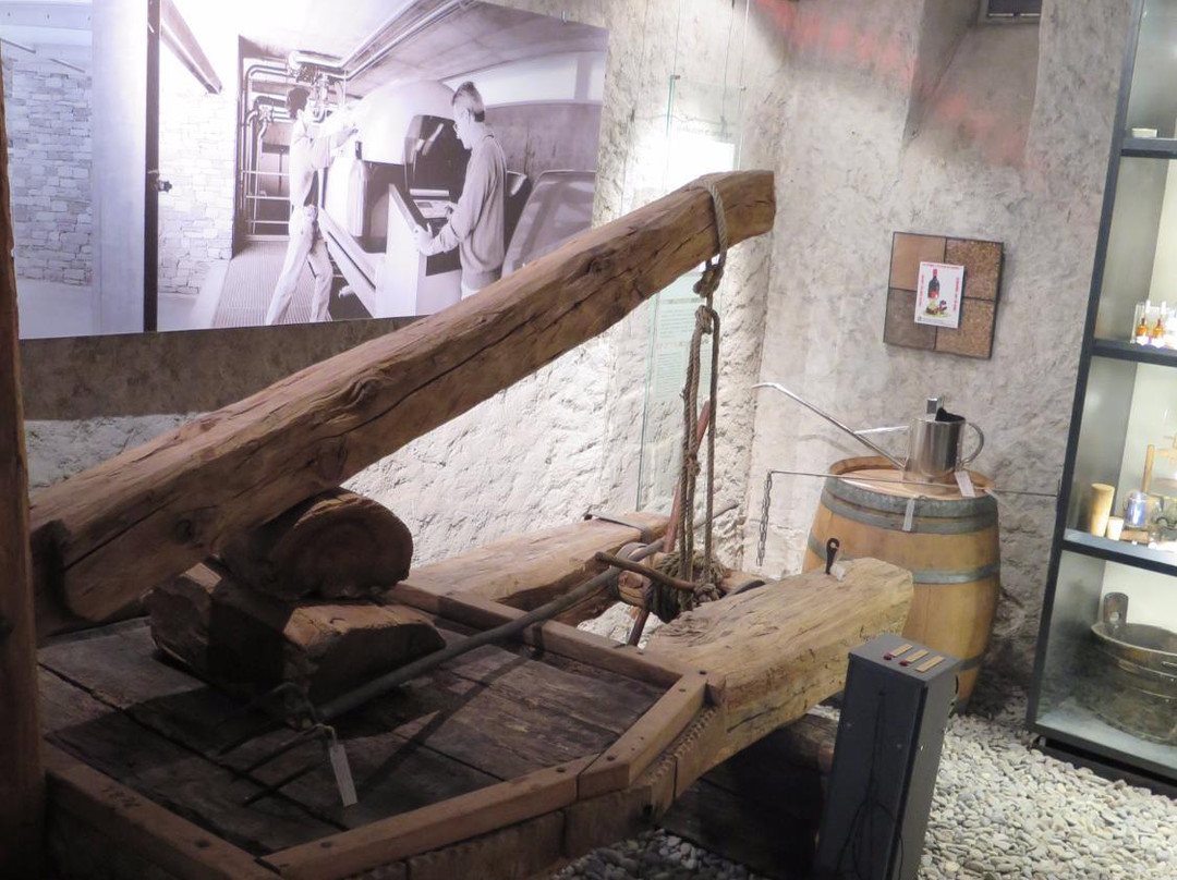 Wine Museum Sierre-谢尔必去景点