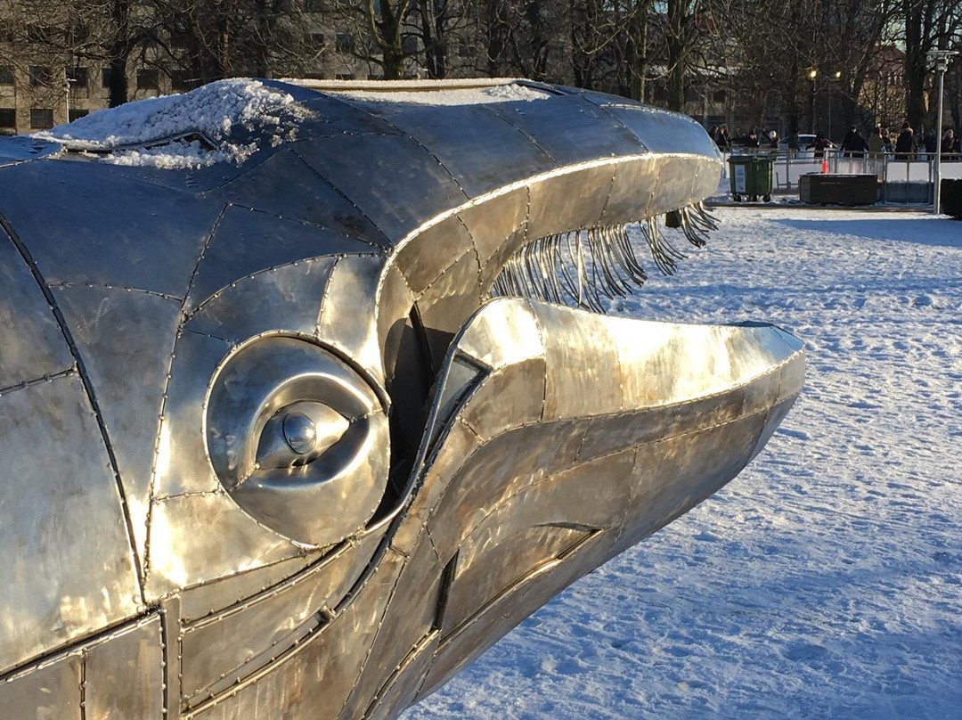 Hval-i-kopter-欧胡斯必去景点