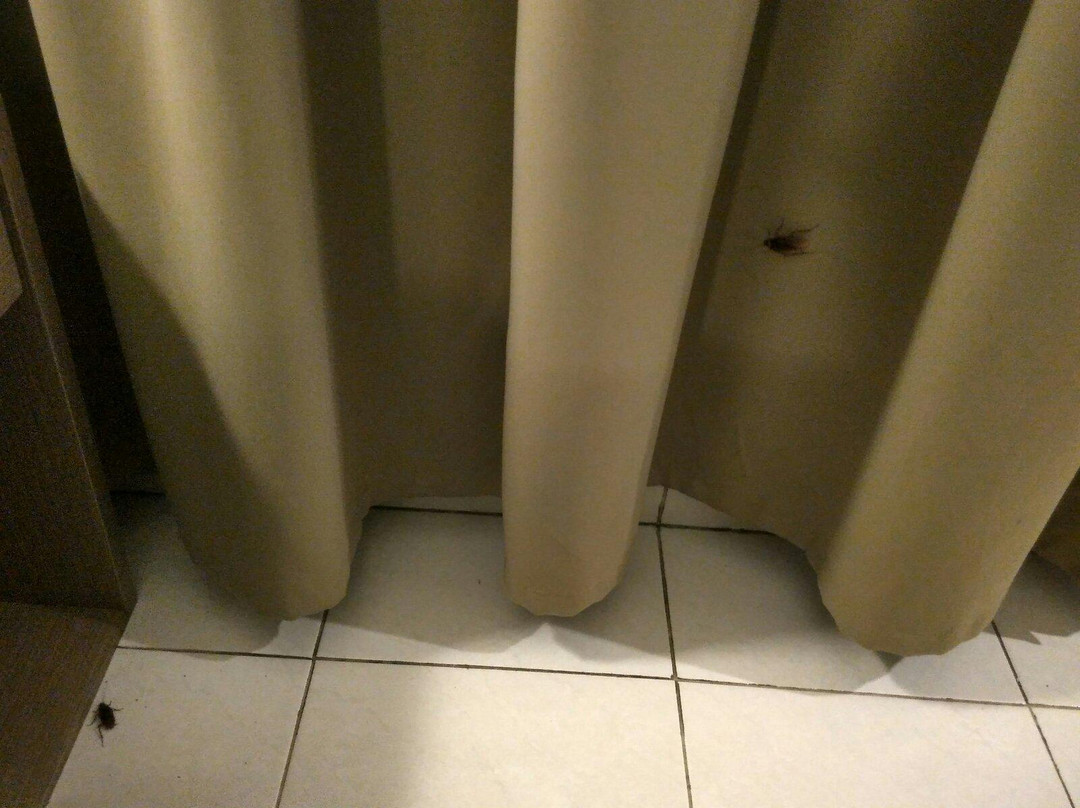 Front One Resort Indraloka Temanggung主图