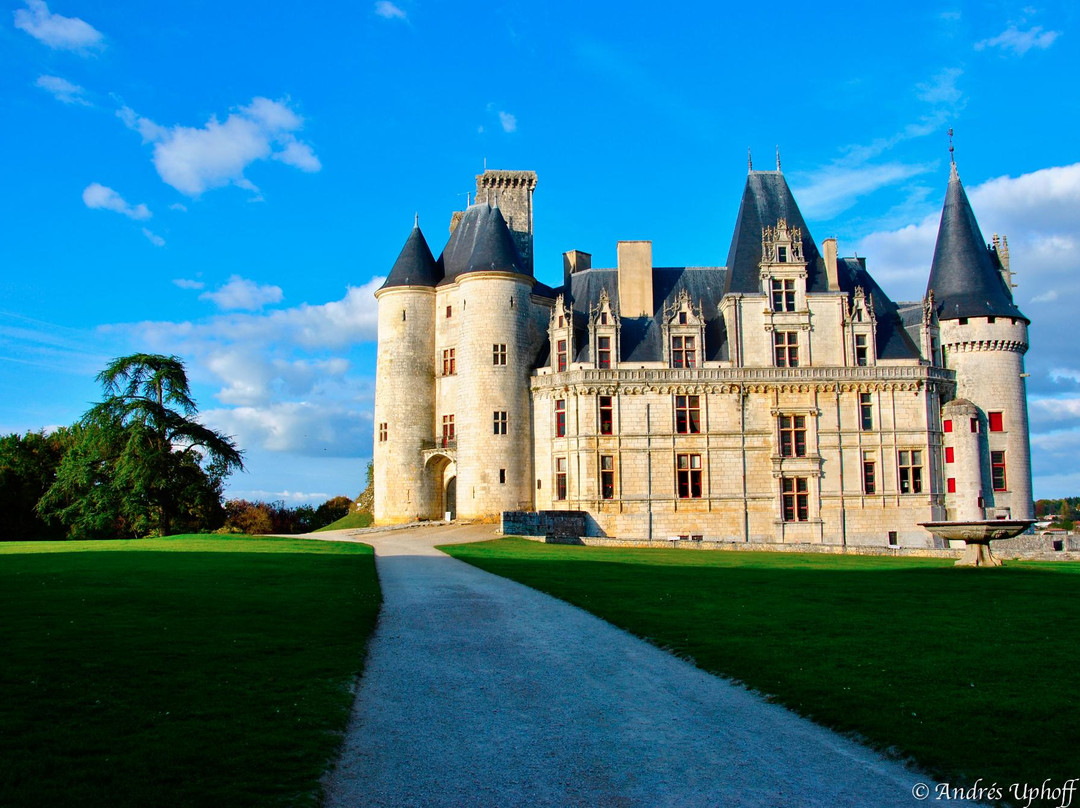 Chateau de La Rochefoucauld景点图片