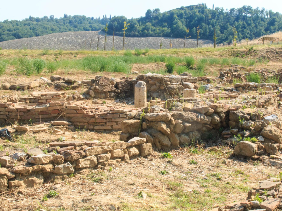 Parco Archeologico Pava景点图片
