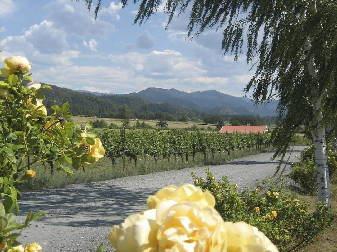 LongSword Vineyard-Jacksonville必去景点