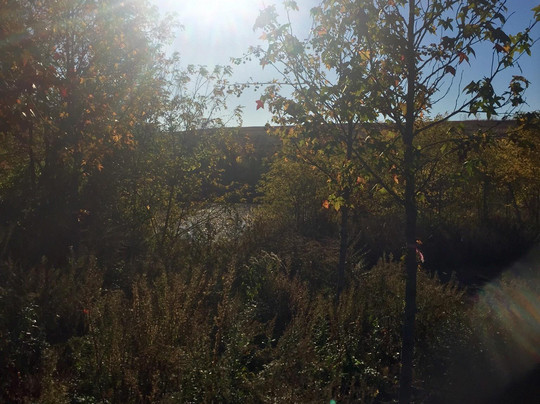 Freshkills Park-斯塔滕岛必去景点