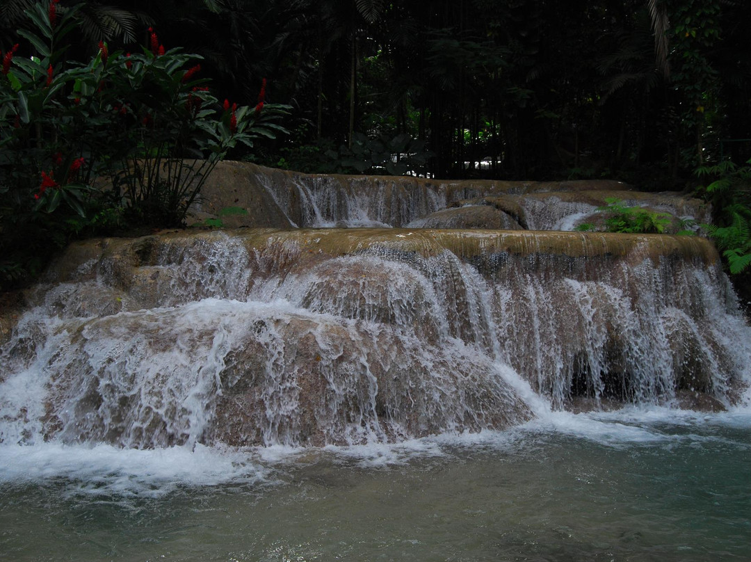 The Enchanted Gardens, Bird Aviary, and Waterfall-奥乔里奥斯必去景点