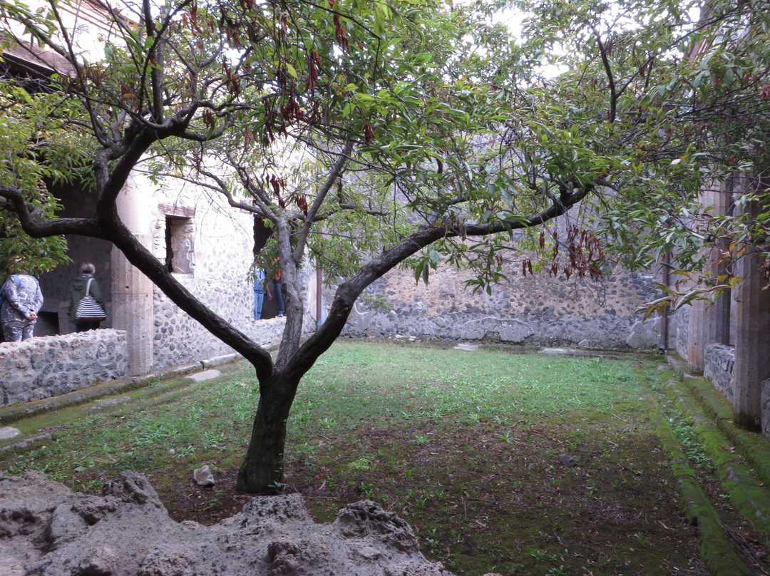 Casa della nave europa景点图片