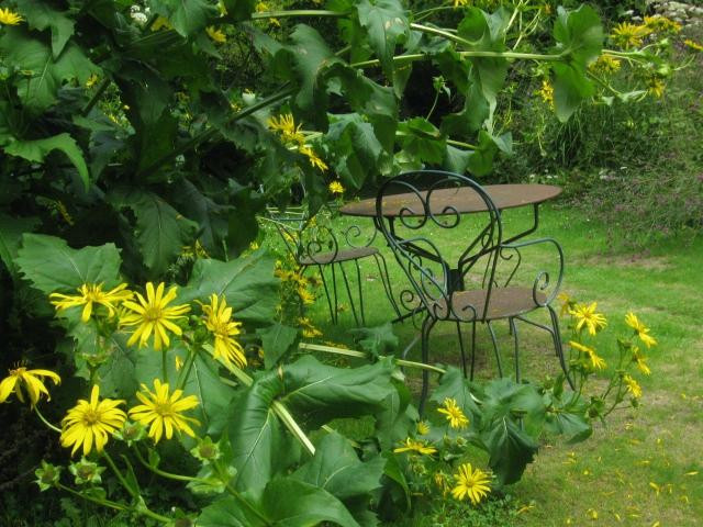 Jardin d'Art et d'Essais景点图片