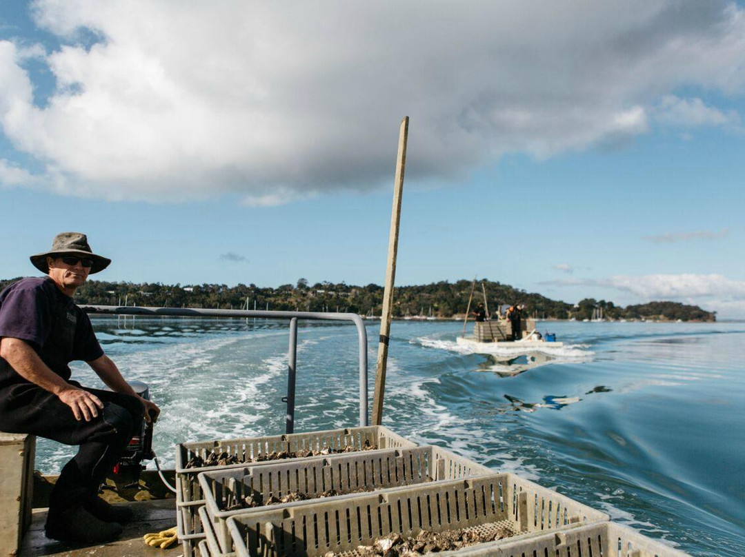 Nz Oyster Farm Tours-Mahurangi East必去景点