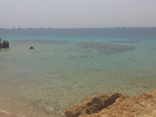 Sea World Dive Club-沙姆沙伊赫必去景点