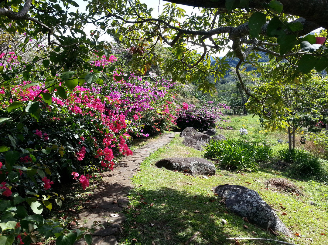 Mi Jardin景点图片