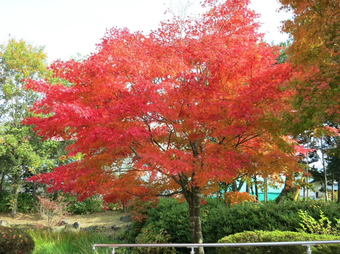 盘梯町旅游景点-Bandaisan Enichiji Museum