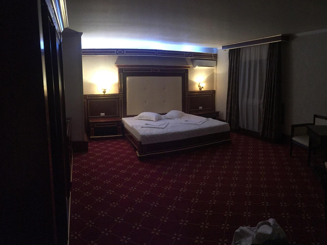 Pensiunea La Plopii Fara Sot主图