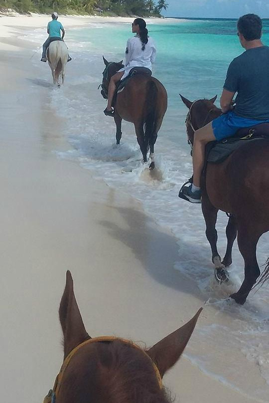 Oceanview Farm-Governor's Harbour必去景点