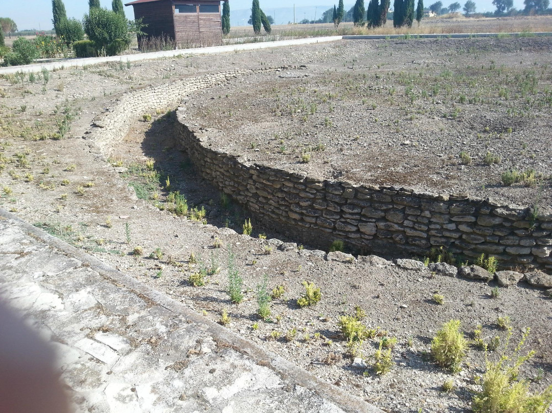 Parco Archeologico di Passo di Corvo-福贾必去景点