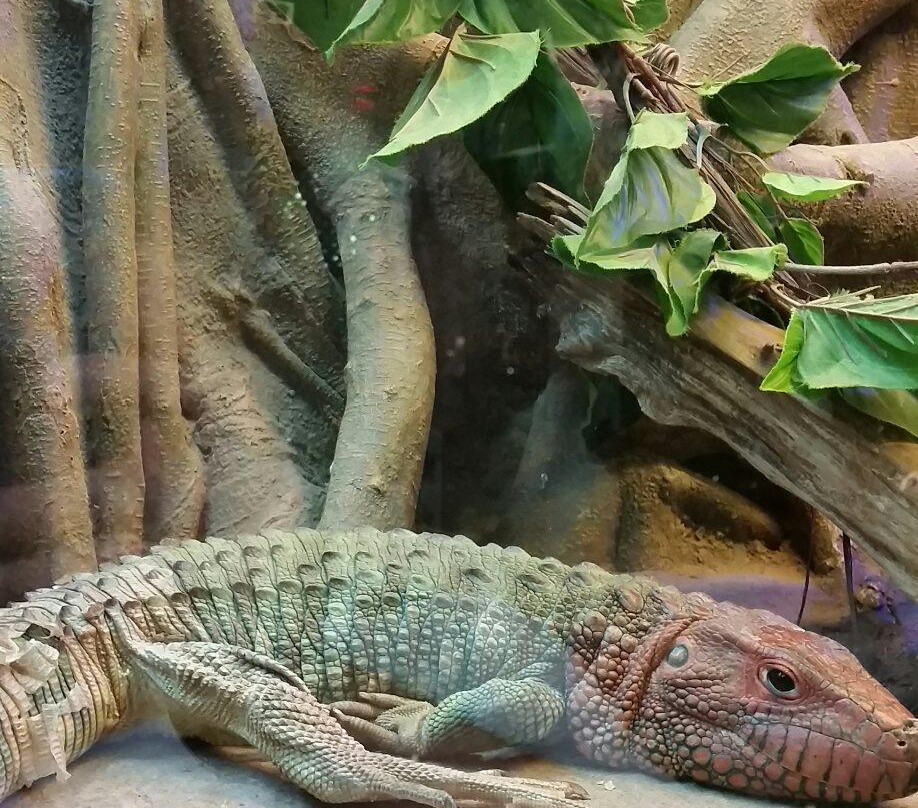 Exotarium: Ferme de Reptiles-Saint-Eustache必去景点