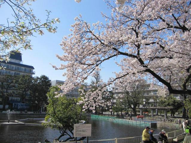 Shimizuike Park-目黒区必去景点