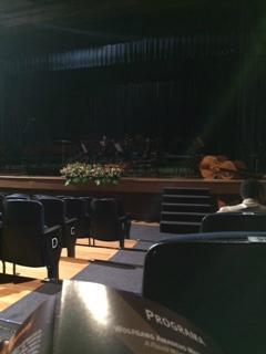 Teatro Municipal José de Castro Mendes-坎皮纳斯必去景点