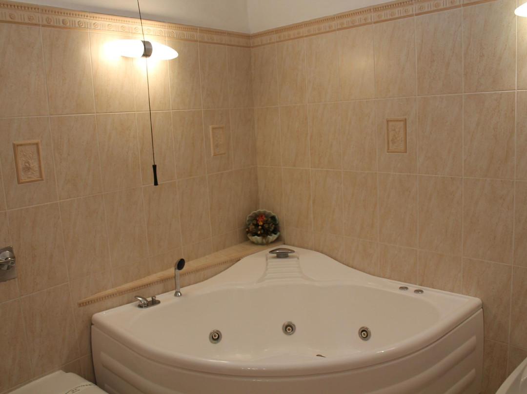 吉安弗兰科公园酒店主图