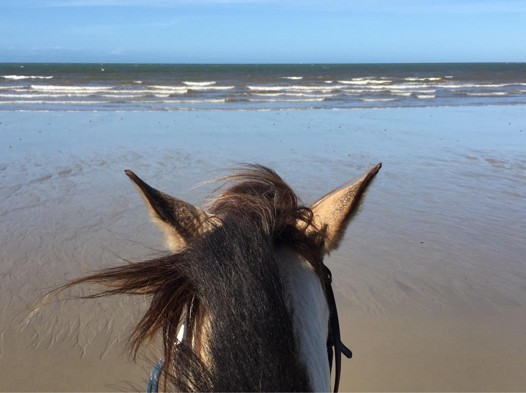 Australian Muster Experience-Mossman必去景点