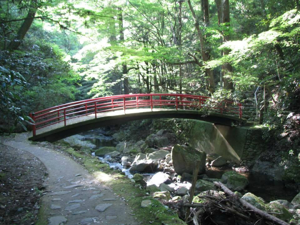 Inunakisan Izumikatsuragi Mountain Hiking Course-泉佐野市必去景点