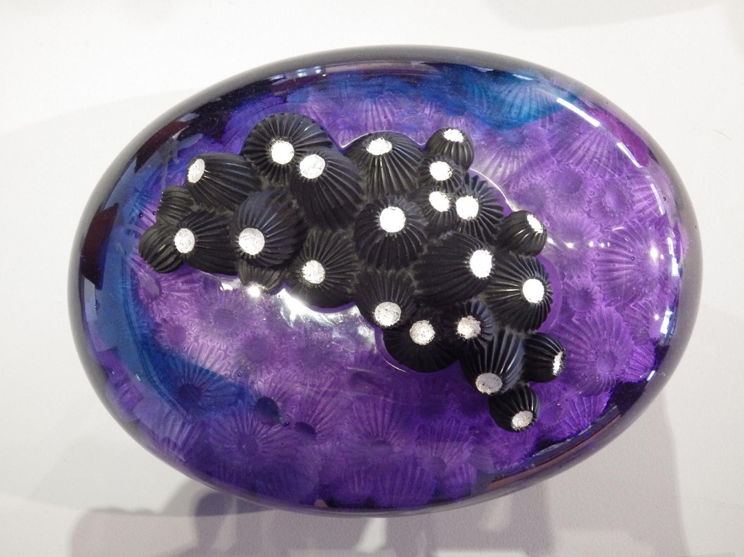Ruskin Glass Centre-Stourbridge必去景点