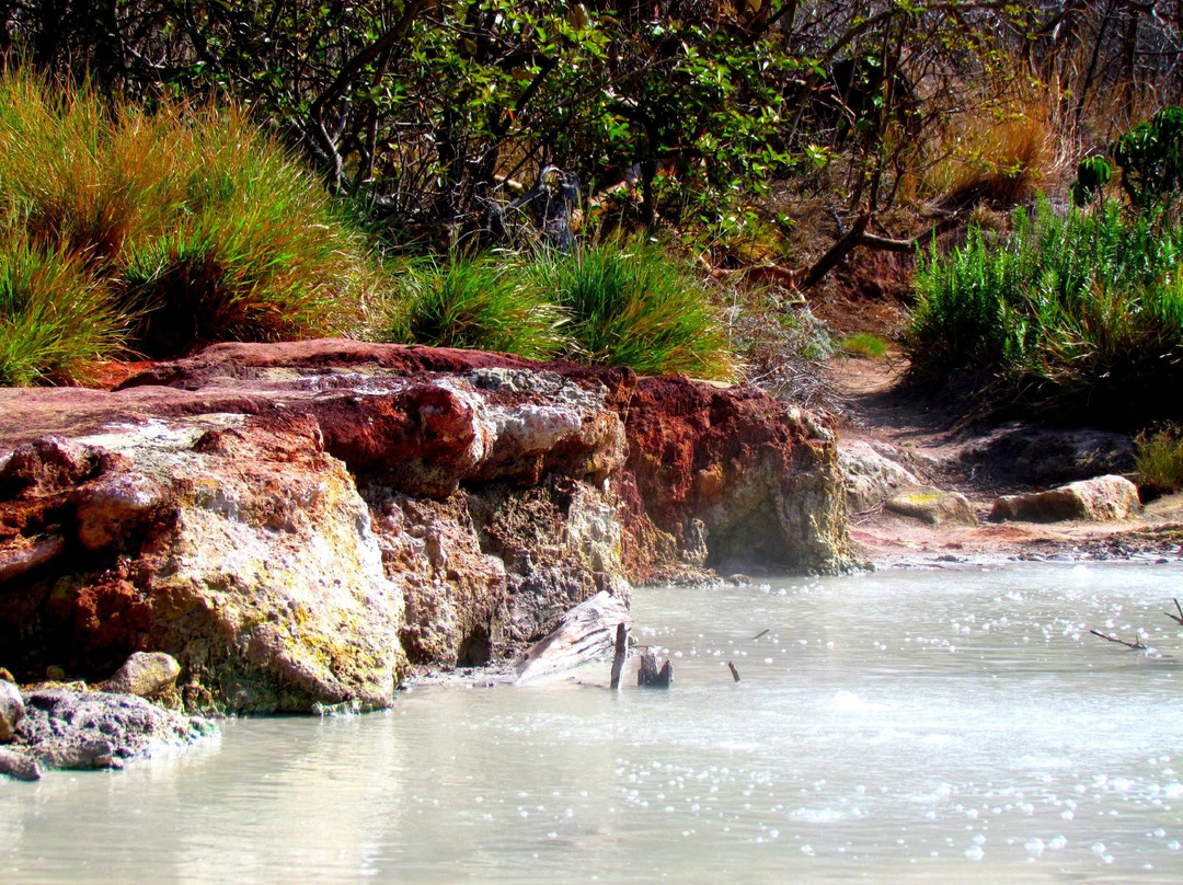 Ailanto Mountain Reserve